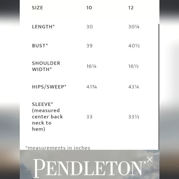 Vintage Pendleton Virgin Wool Blazer Jacket Turquoise Size 12 - Picture 6 of 6